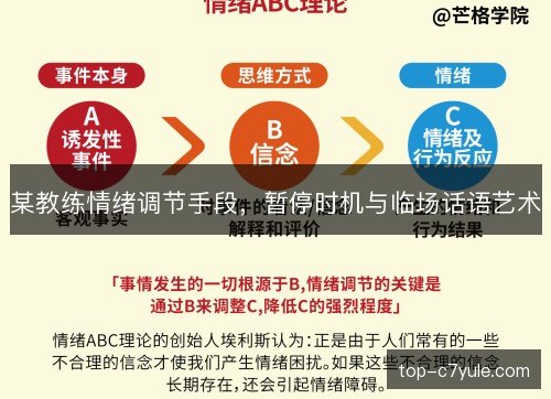 某教练情绪调节手段,暂停时机与临场话语艺术 某教练情绪调节手段,暂停时机与临场话语艺术